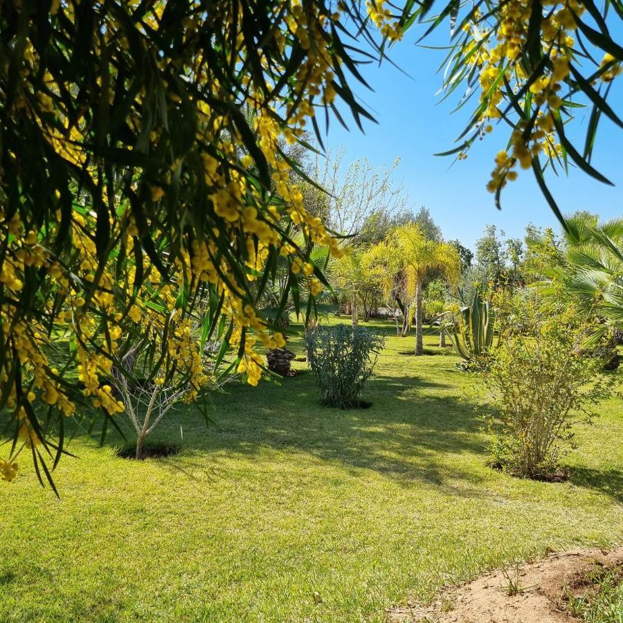 Riad Les Deux Citronniers Μαρακές Εξωτερικό φωτογραφία