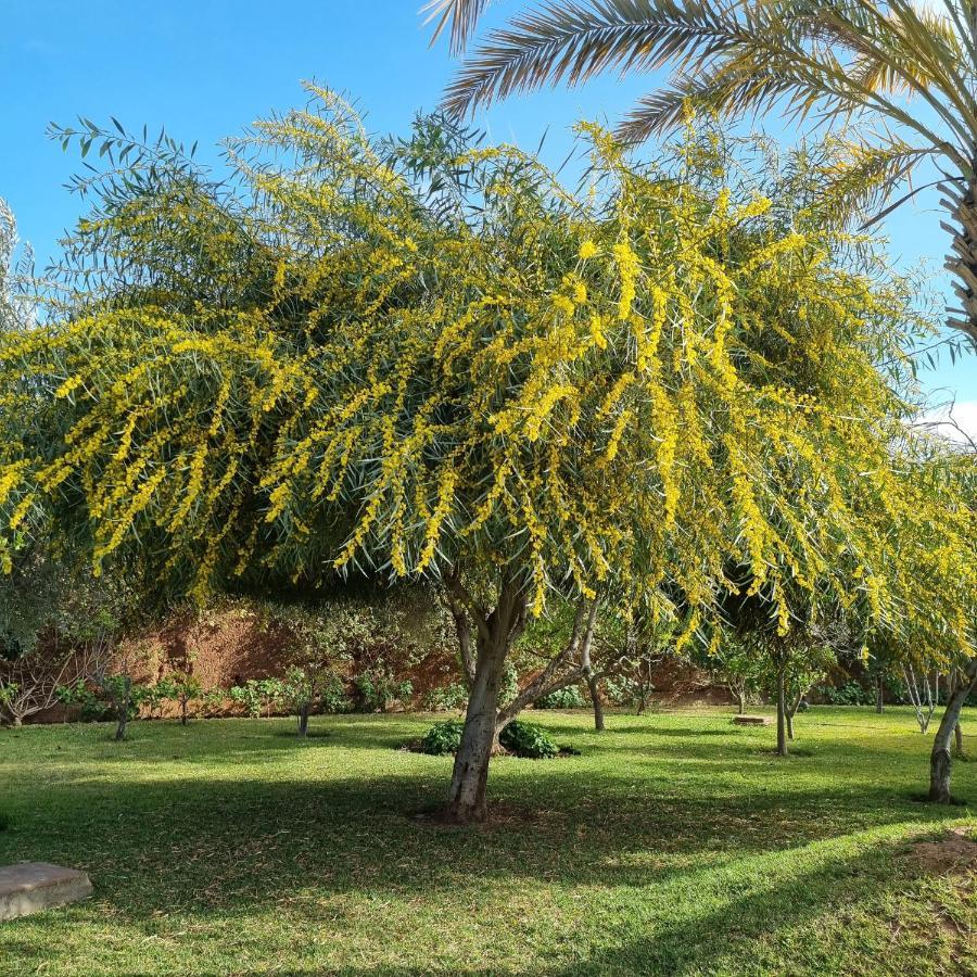 Riad Les Deux Citronniers Μαρακές Εξωτερικό φωτογραφία