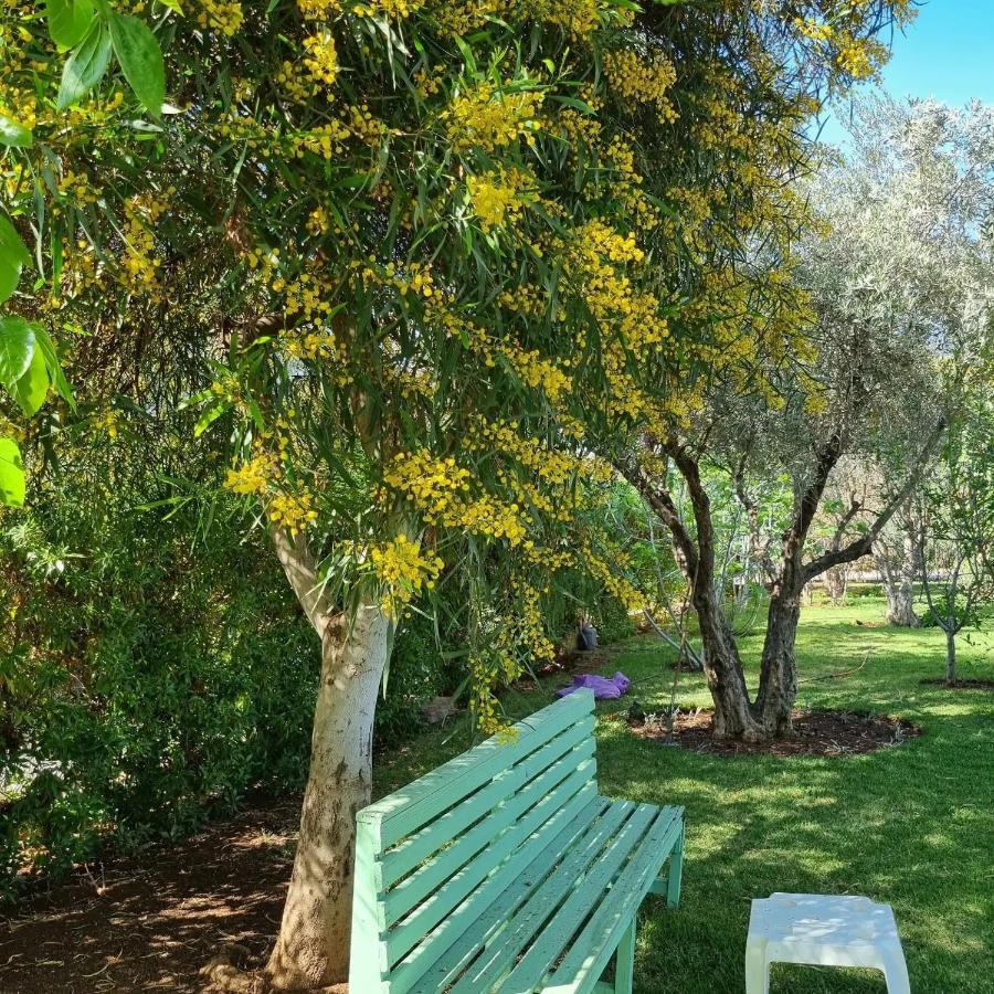 Riad Les Deux Citronniers Μαρακές Εξωτερικό φωτογραφία
