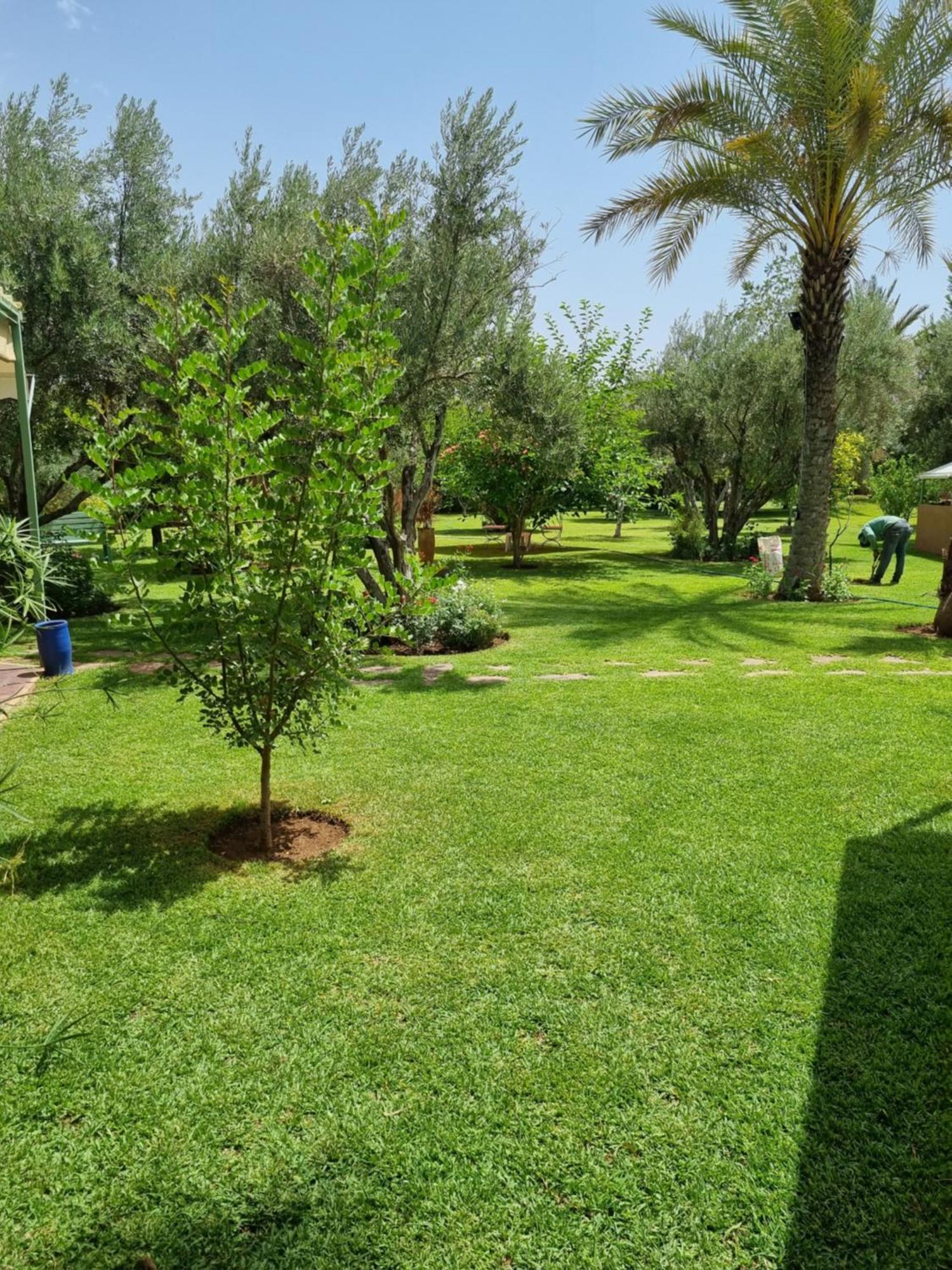 Riad Les Deux Citronniers Μαρακές Δωμάτιο φωτογραφία