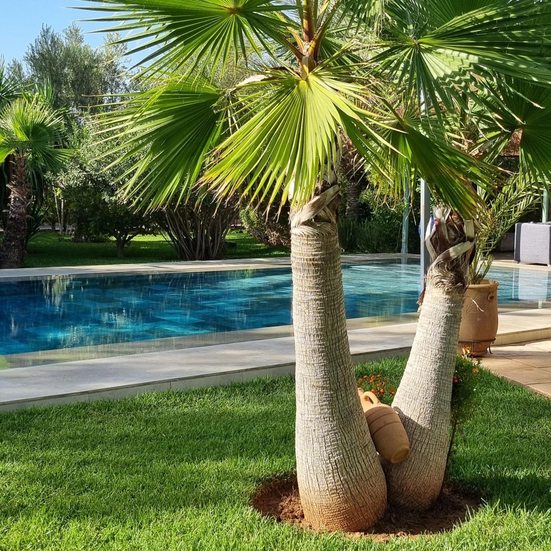 Riad Les Deux Citronniers Μαρακές Εξωτερικό φωτογραφία